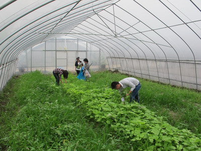 省农业厅来德清县开展农产品质量安全监督抽查